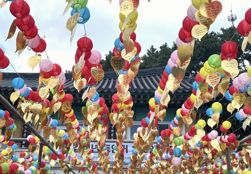 Photo, haedong yonggungsa temple, lantern, korea trip, 