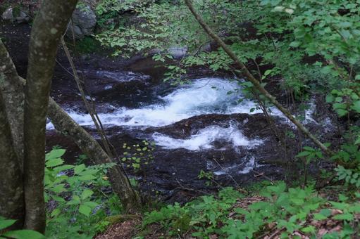 渓流の写真