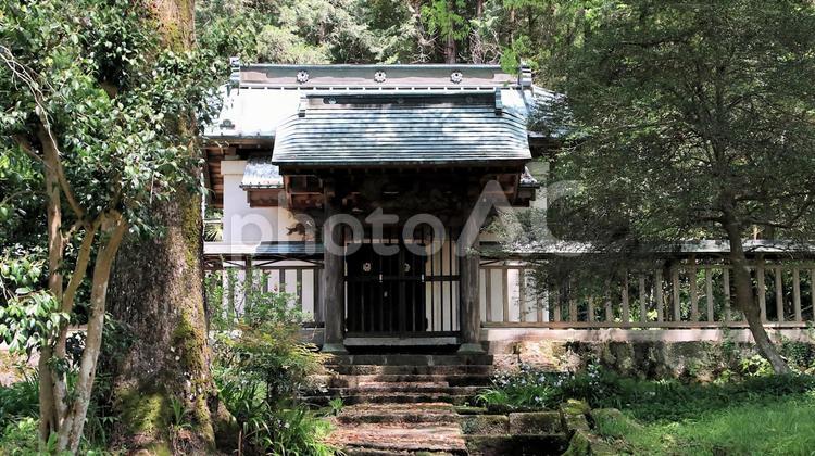 新緑の西山本門寺　織田信長公首塚 織田信長公首塚,新緑,五月の写真素材