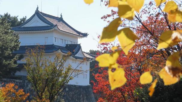 名古屋城　本丸　西南隅櫓と紅葉 名古屋城,尾張徳川家,御三家の写真素材