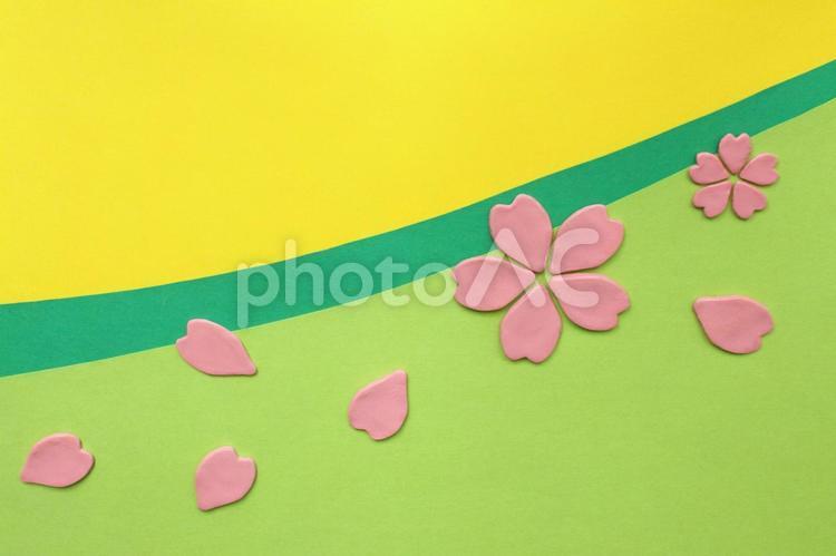 桜・桜の花びらイメージ 桜,花びら,散るの写真素材