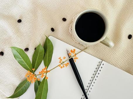 キンモクセイ キンモクセイ,植物,休憩の写真素材