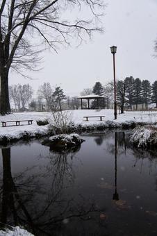 雪降る公園 雪降る公園の写真