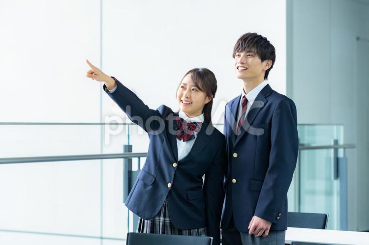 見上げる高校生 高校生,笑顔,学生の写真素材