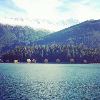 ポンポンの木 湖,景色,風景の写真素材