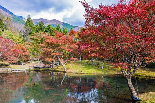 静岡県 草履石公園・秋景色 静岡県 草履石公園・秋景色 草履石公園,寸又峡,紅葉の写真素材