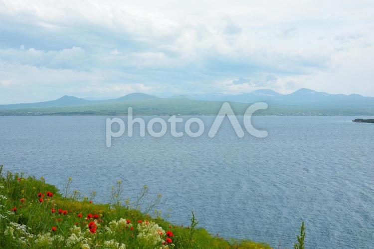 初夏のアルメニア・セヴァン湖とお花畑 セヴァン湖,セバン湖,セヴァナバンクの写真素材