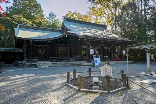 大阪・三島郡 水無瀬神宮 御社殿 大阪・三島郡 水無瀬神宮 御社殿 水無瀬神宮,社殿,鳥居の写真素材