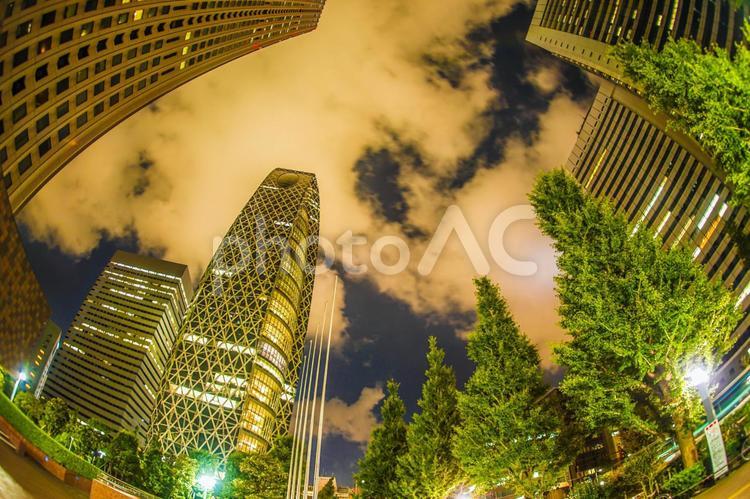 東京新宿の高層ビル群の夜景 新宿,西新宿,夜景の写真素材