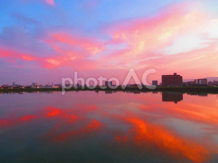 ８月下旬の野田池からの朝焼け空 背景,朝焼け,たそがれの写真素材