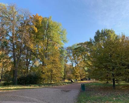 秋の公園 秋の公園の写真