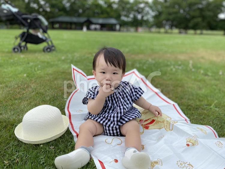 緑の中で、赤ちゃんお散歩ピクニック 赤ちゃん,子供,日焼け止めの写真素材
