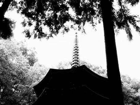 長野県-安楽寺-国宝-八角三重塔-白黒 長野県-安楽寺-国宝-八角三重塔-白黒の写真