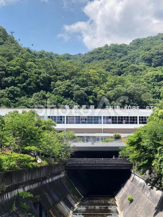 緑の中の新神戸駅 新神戸,駅,jrの写真素材