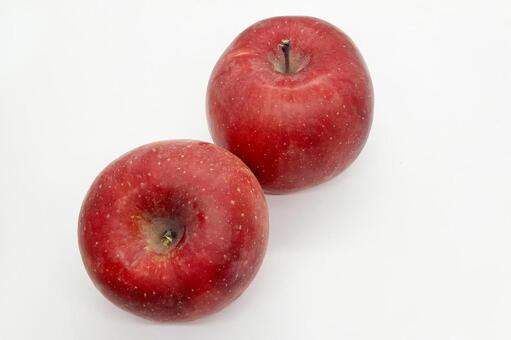リンゴ リンゴ,アップル,林檎の写真素材