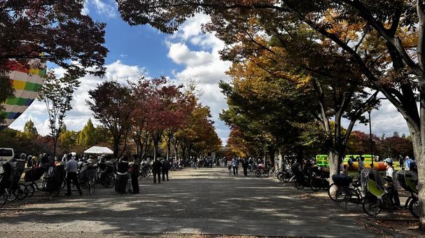 鶴見緑地公園1 鶴見緑地公園1の写真