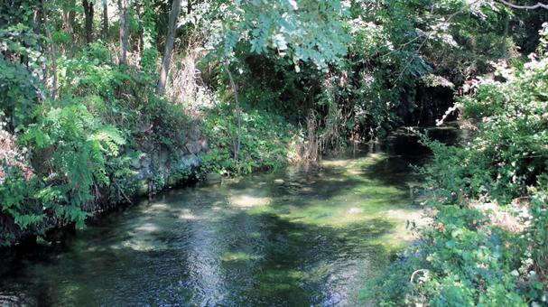 夏の安曇野 田園地帯を流れる清らかな流れ 夏の安曇野 田園地帯を流れる清らかな流れ 安曇野市,夏,清流の写真素材
