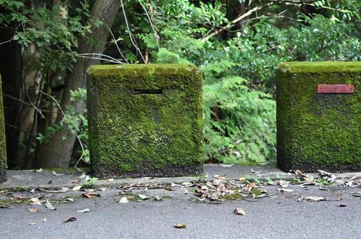 苔と岩 苔と岩の写真