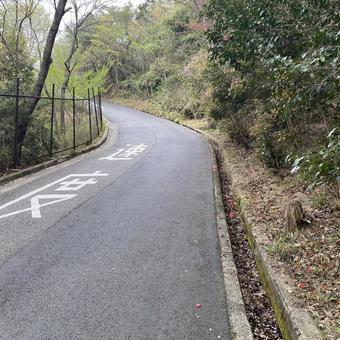 坂道 坂道の写真