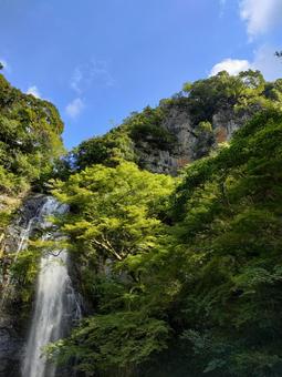 箕面大滝 箕面大滝の写真