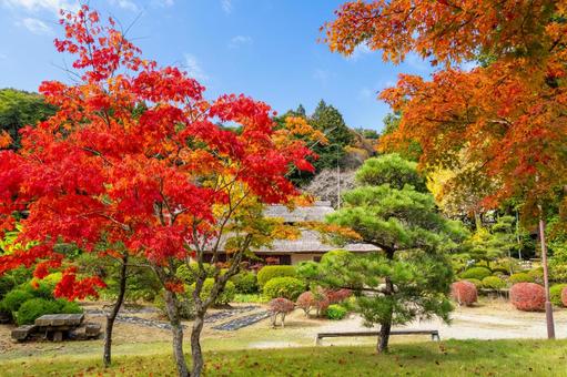 旧佐藤家住宅の秋⑷ 家,古民家,旧佐藤家住宅の写真素材