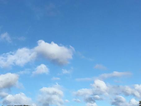 ふわんとした雲 ふわんとした雲の写真