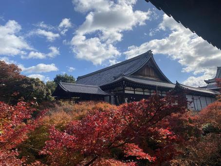 お寺ともみじ お寺ともみじの写真