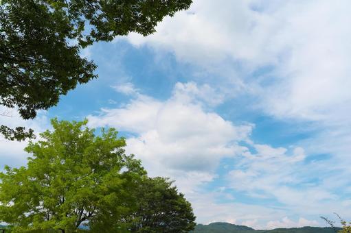 夏の空 夏の空 夏,空,青空の写真素材