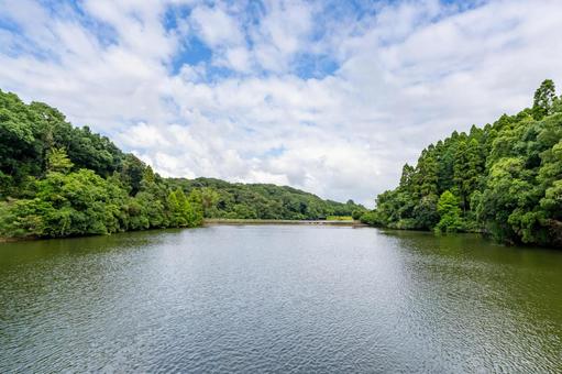 平和台公園の新池 平和台公園の新池の写真