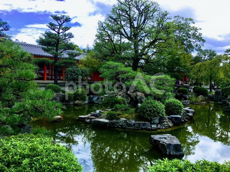 京都の美しい日本庭園 日本庭園,庭,寺の写真素材