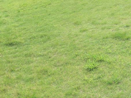 grassland, JPG grassland, JPG