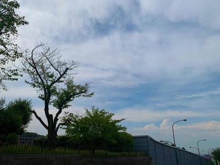 空と雲 空と雲の写真