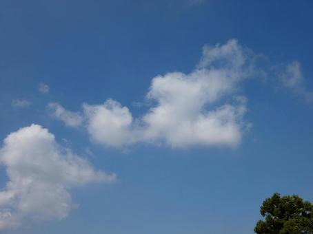 青空と雲を見上げる 青空と雲を見上げるの写真