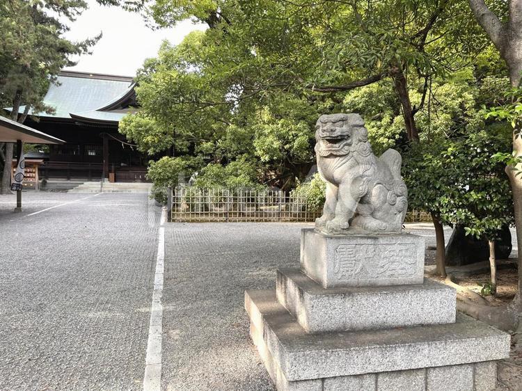 浜松八幡宮の狛犬 浜松,浜松八幡宮,神社の写真素材