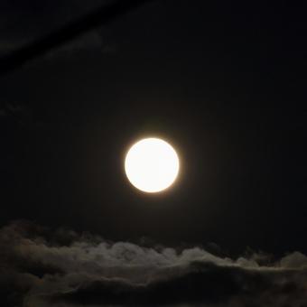 2022 11/08 皆既月食 １ 皆既月食,月,満月の写真素材