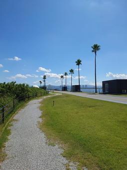 海の中道海浜公園 海の中道海浜公園,福岡市,公園の写真素材