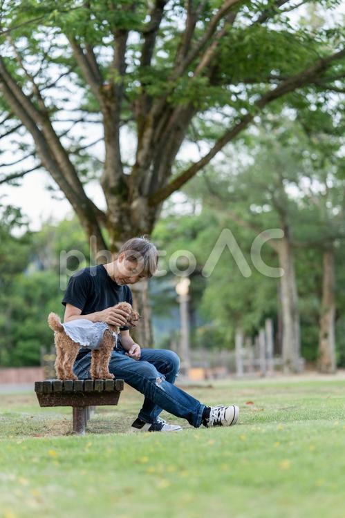 男性とトイプードル トイプードル,トイプー,夏の写真素材