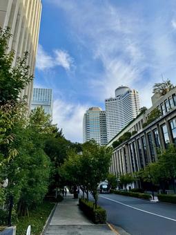 紀尾井町通り 紀尾井町通り 紀尾井町,紀尾井町通り,永田町の写真素材