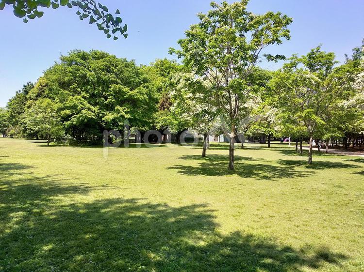 学びの森　各務原　岐阜 岐阜,公園,各務原の写真素材