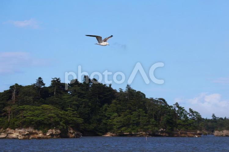 ８月上旬の遊覧船からの松島の風景 背景,松島,島の写真素材