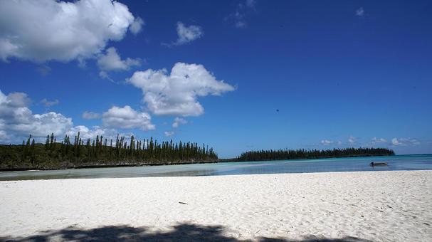 ニューカレドニア332プライベートビーチ ニューカレドニア,イルデパン島,ルメリディアンイルデパンの写真素材