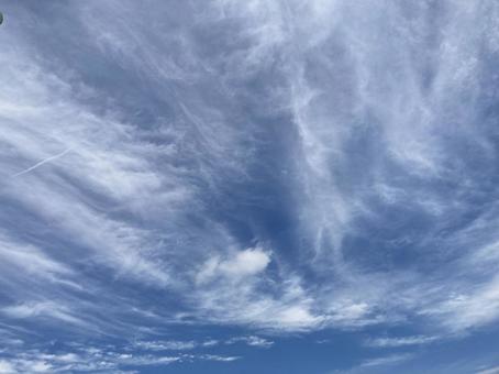 夏の空 夏の空の写真