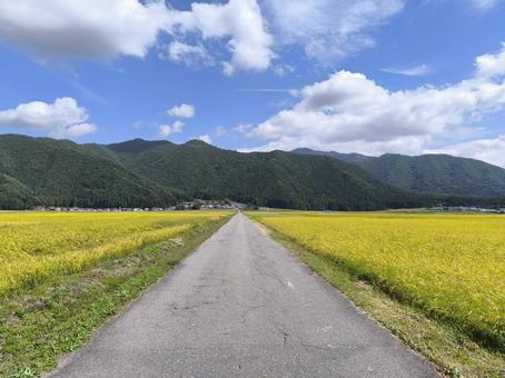実りの秋 ドライブ 実りの秋 ドライブ 風景,稲刈り,田園の写真素材
