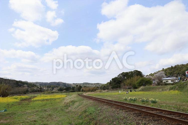 線路の風景 風景,電車,レールの写真素材