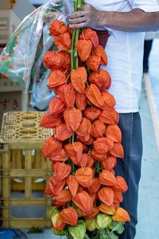 A person with a large amount of houzuki, JPG A person with a large amount of houzuki, JPG