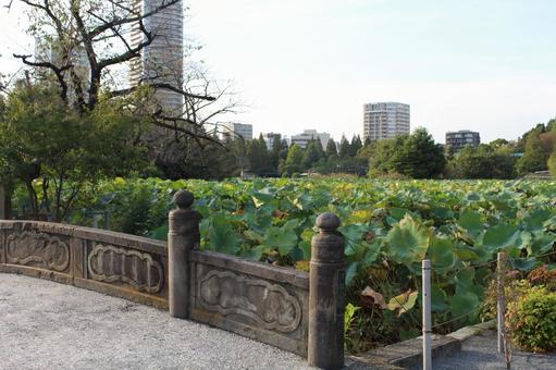 上野公園 上野公園の写真