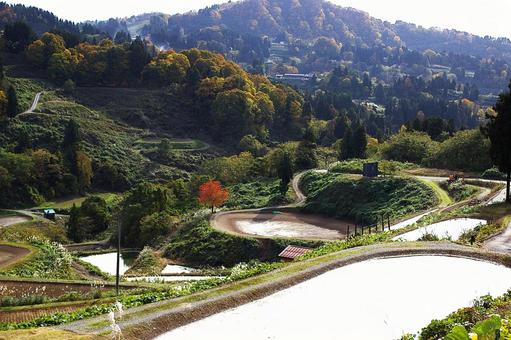 25年　山古志紅葉 山,集落,木の写真素材