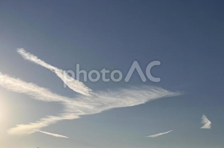 鳥に見える雲 雲,飛行機雲,空の写真素材