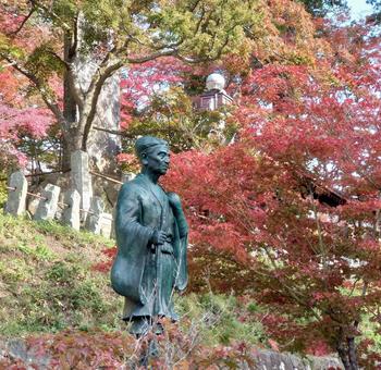 もちずりの紅葉の写真