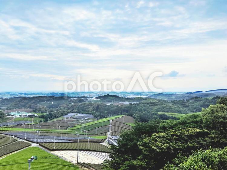 田園風景 田園風景,田畑,畑の写真素材